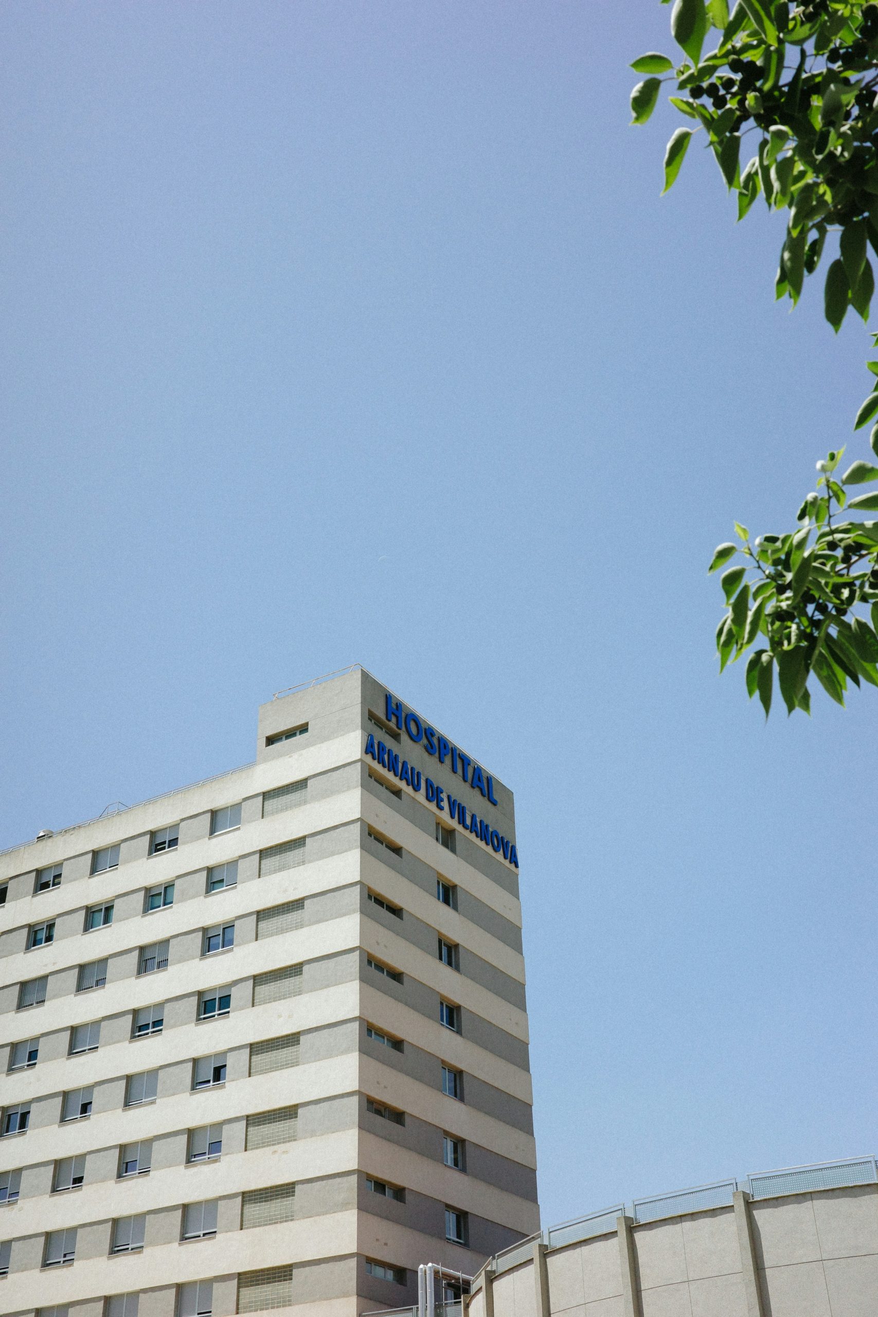 Panorama miasta — konteksty samorządowe
